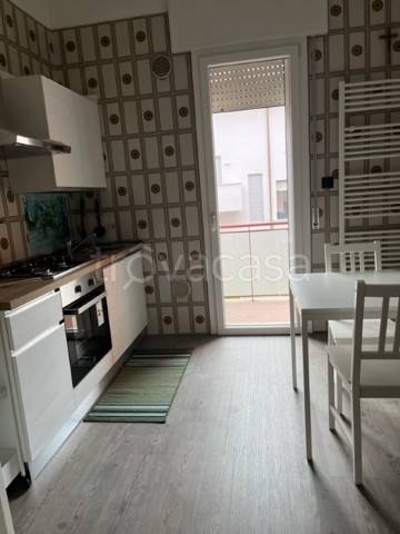 appartamento in affitto a Rovigo