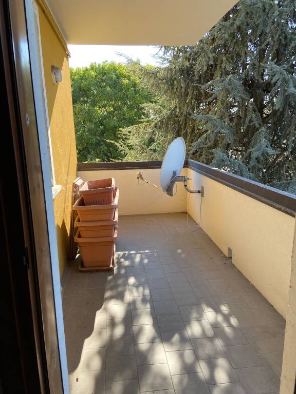 appartamento in affitto a Rovigo