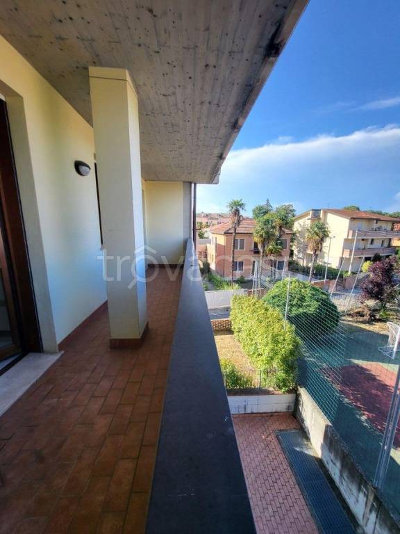 appartamento in affitto a Rovigo