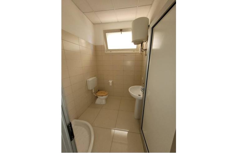 ufficio in affitto a Rovigo