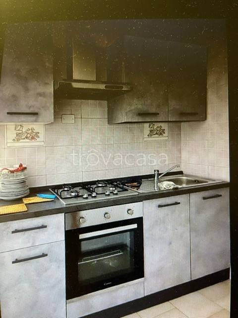 appartamento in affitto a Rovigo