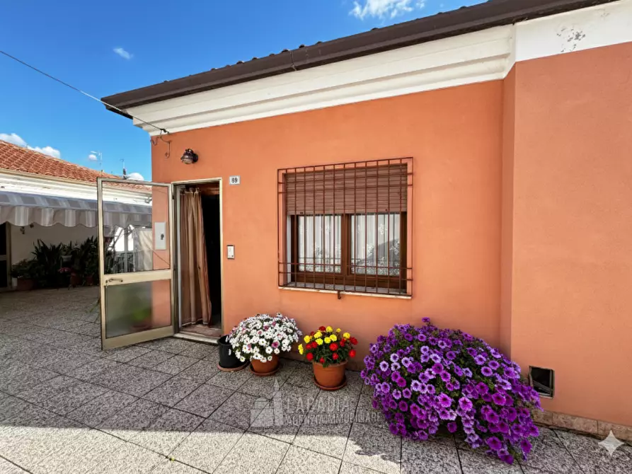 appartamento in affitto a Trecenta