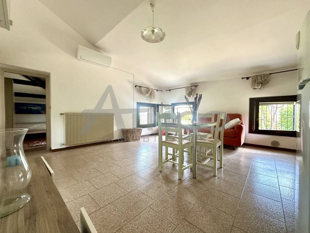 attico in affitto a Villadose in zona Cambio