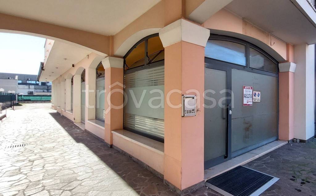 trivano in affitto a Porto Viro
