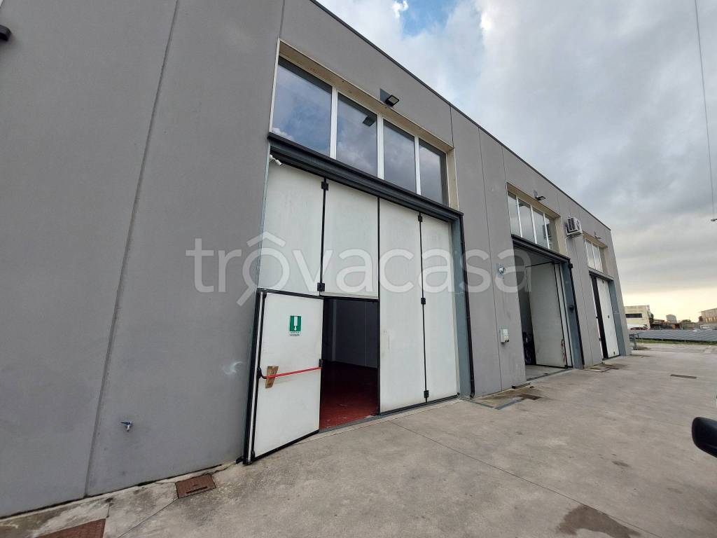 locale commerciale in affitto a Porto Viro