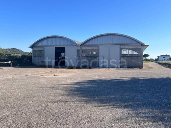 appartamento in affitto a Corno di Rosazzo