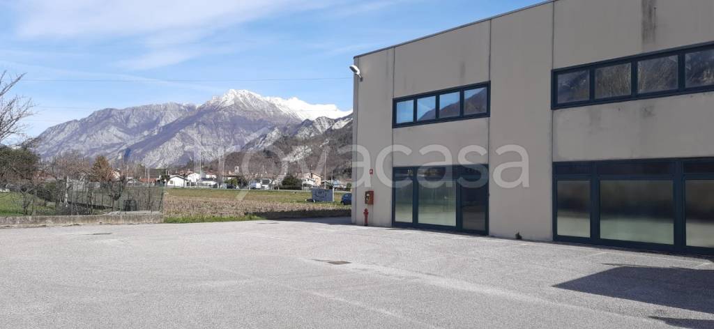 locale commerciale in affitto a Gemona del Friuli