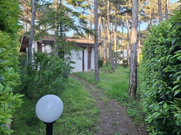 casa indipendente in affitto a Lignano Sabbiadoro in zona Pineta