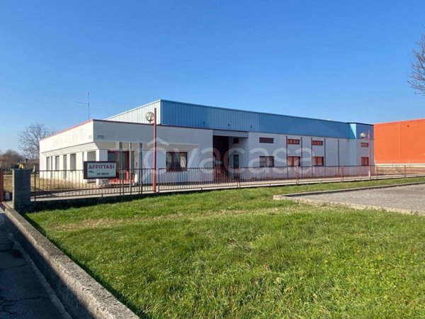 locale commerciale in affitto a Magnano in Riviera in zona Bueriis