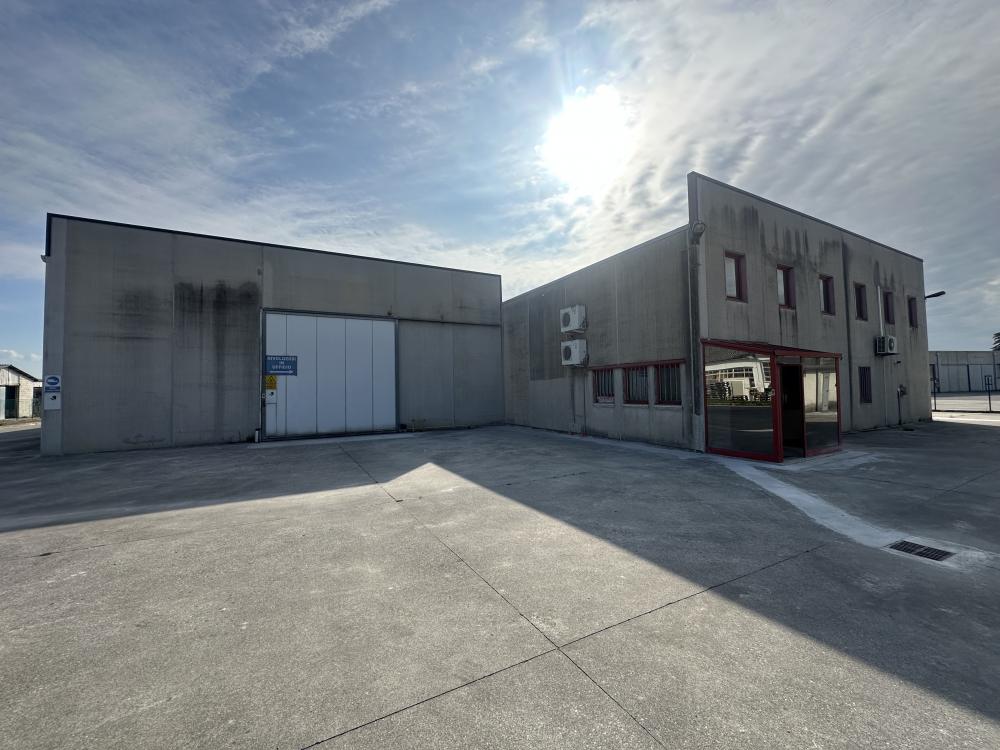 immagine annuncio 0 di 5