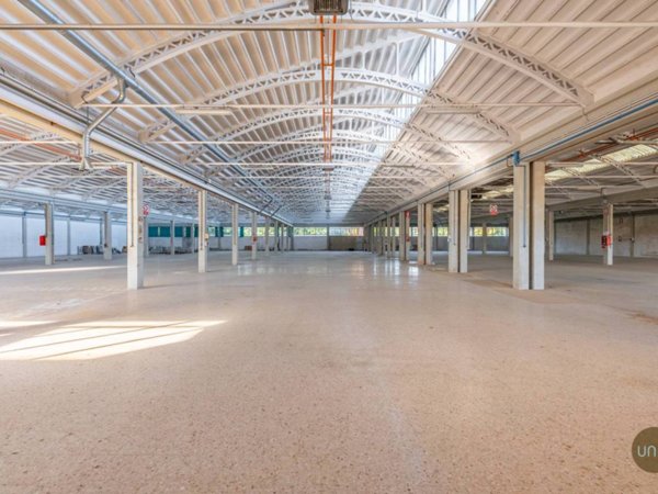 ufficio in affitto a Pradamano