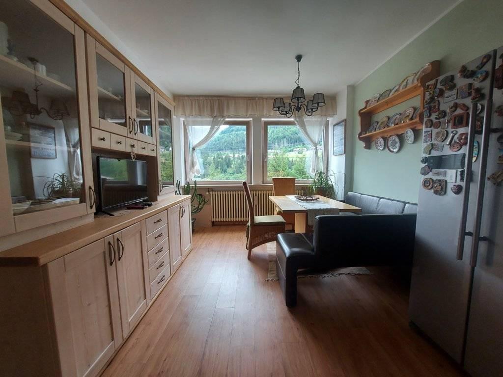 appartamento in affitto a Tarvisio