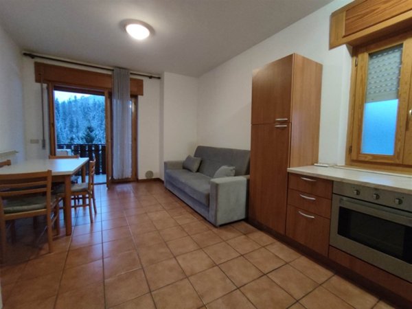 appartamento in affitto a Tarvisio