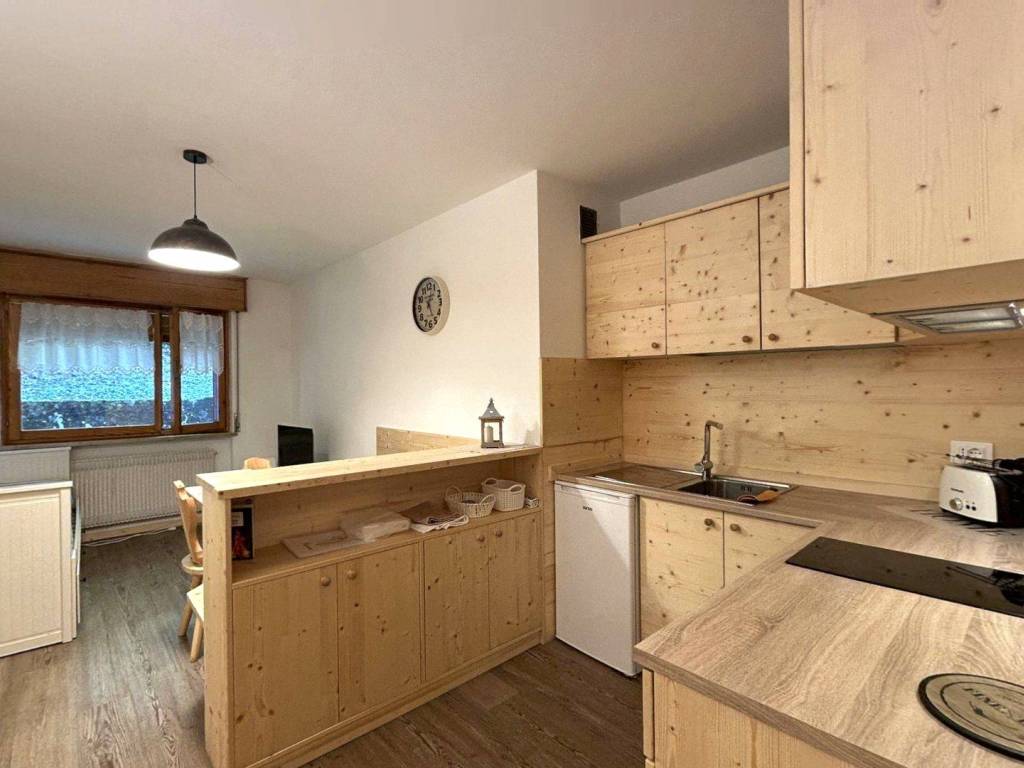 appartamento in affitto a Tarvisio