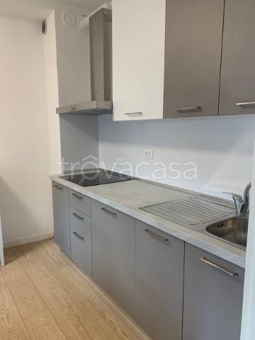 appartamento in affitto a Tavagnacco in zona Adegliacco