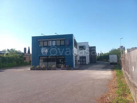 appartamento in affitto a Tavagnacco in zona Feletto Umberto