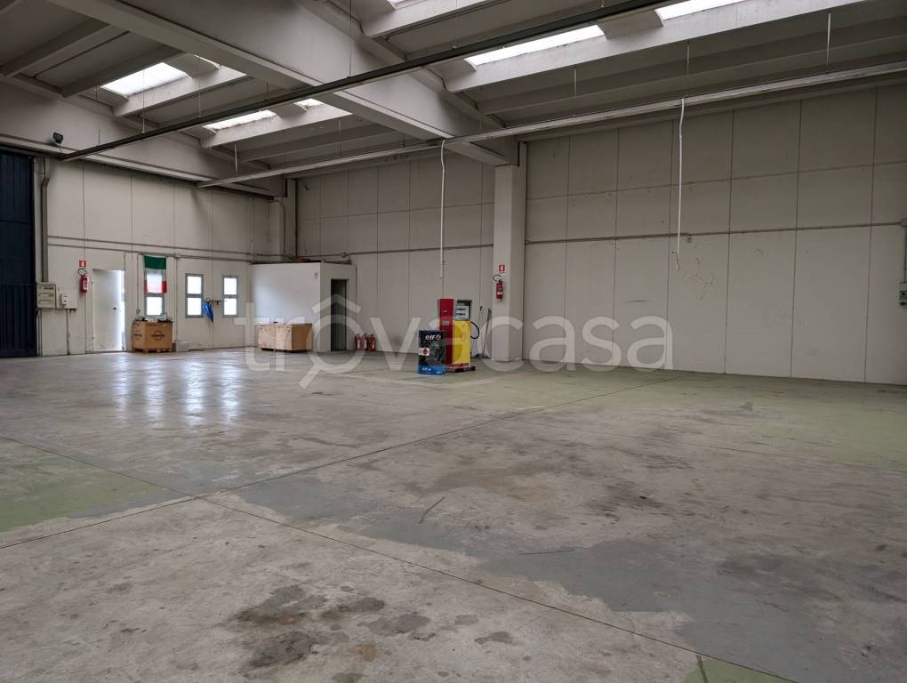 appartamento in affitto a Tricesimo