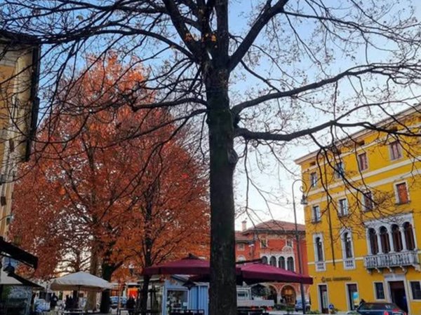 negozio in affitto ad Udine