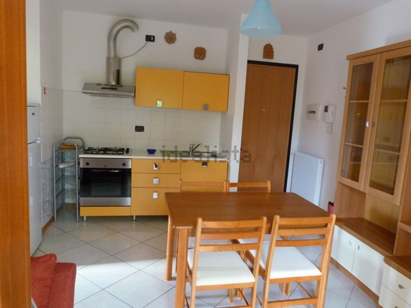 appartamento in affitto ad Udine