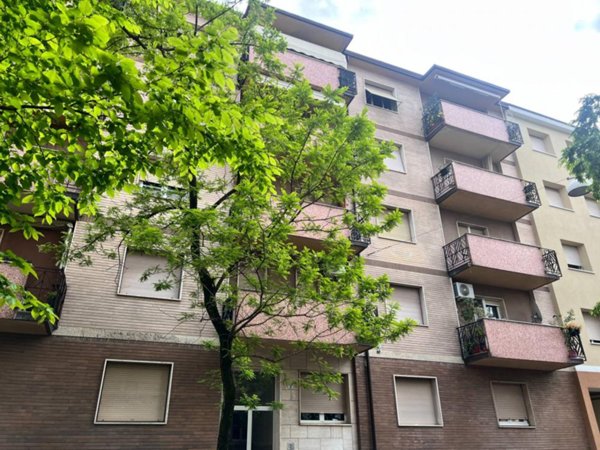appartamento in affitto a Gorizia