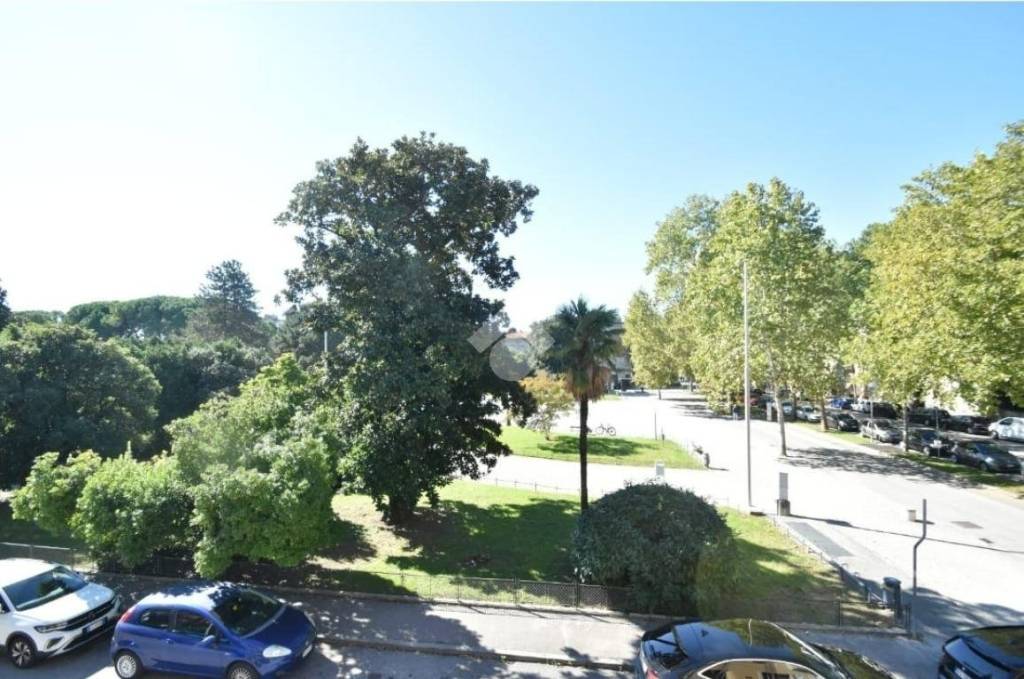 appartamento in affitto a Gorizia