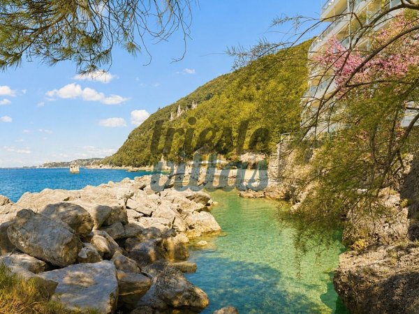 appartamento in affitto a Duino Aurisina