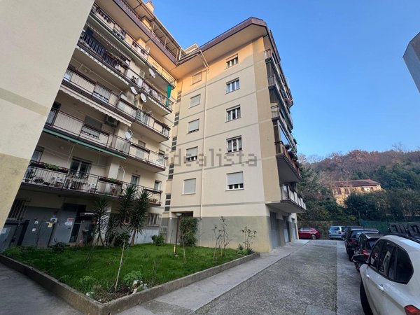 appartamento in affitto a Muggia