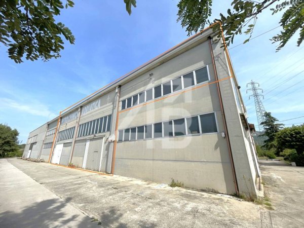 locale commerciale in affitto a San Dorligo della Valle in zona Domio