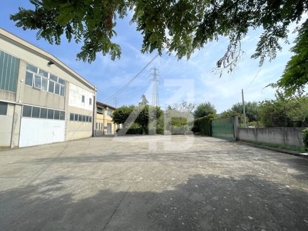 locale commerciale in affitto a San Dorligo della Valle in zona Domio