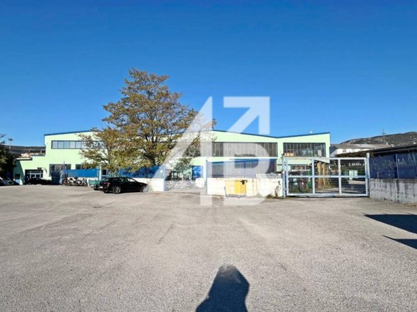 locale commerciale in affitto a San Dorligo della Valle in zona Domio