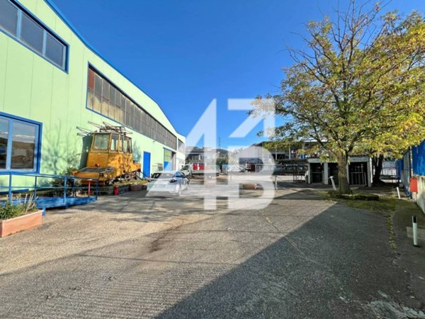 locale commerciale in affitto a San Dorligo della Valle in zona Domio