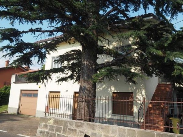 appartamento in affitto a San Dorligo della Valle