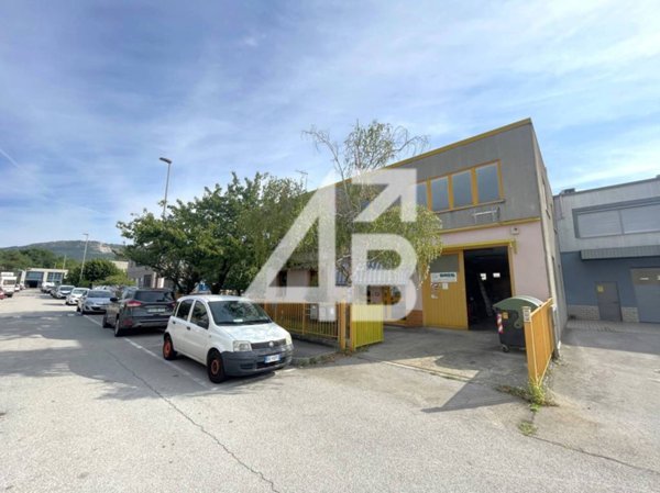 ufficio in affitto a San Dorligo della Valle in zona Domio