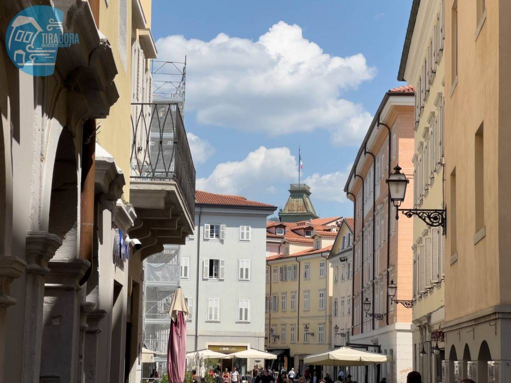 appartamento in affitto a Trieste