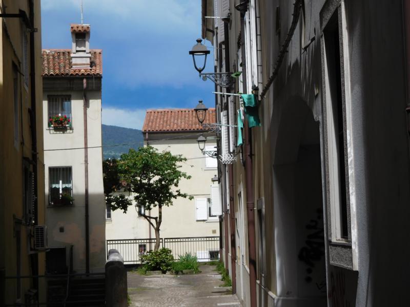 appartamento in affitto a Trieste in zona San Giusto
