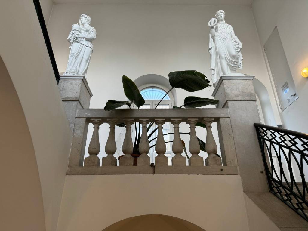 appartamento in affitto a Trieste