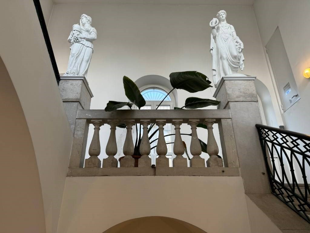 appartamento in affitto a Trieste