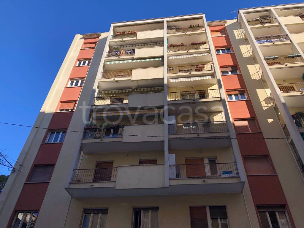 appartamento in affitto a Trieste in zona Cologna