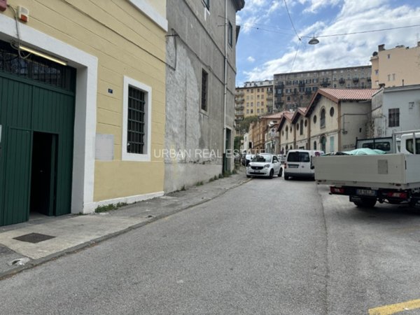 ufficio in affitto a Trieste