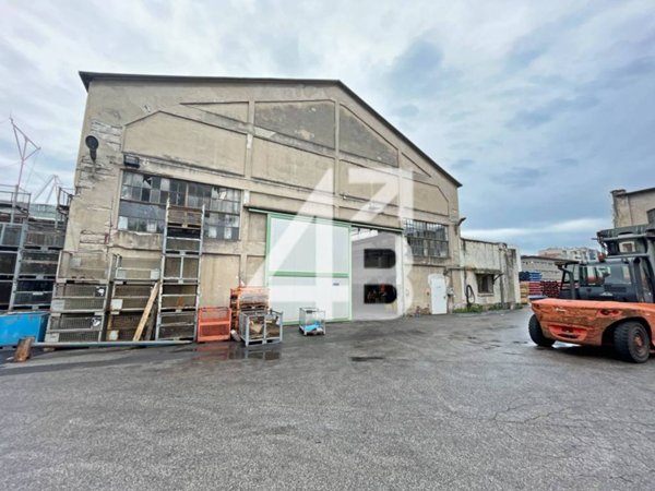 locale commerciale in affitto a Trieste in zona San Giacomo