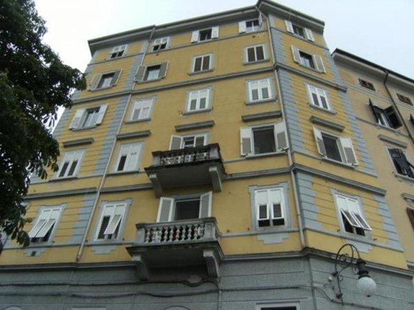 locale commerciale in affitto a Trieste in zona Roiano