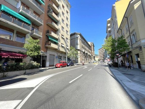 negozio in affitto a Trieste in zona Cologna