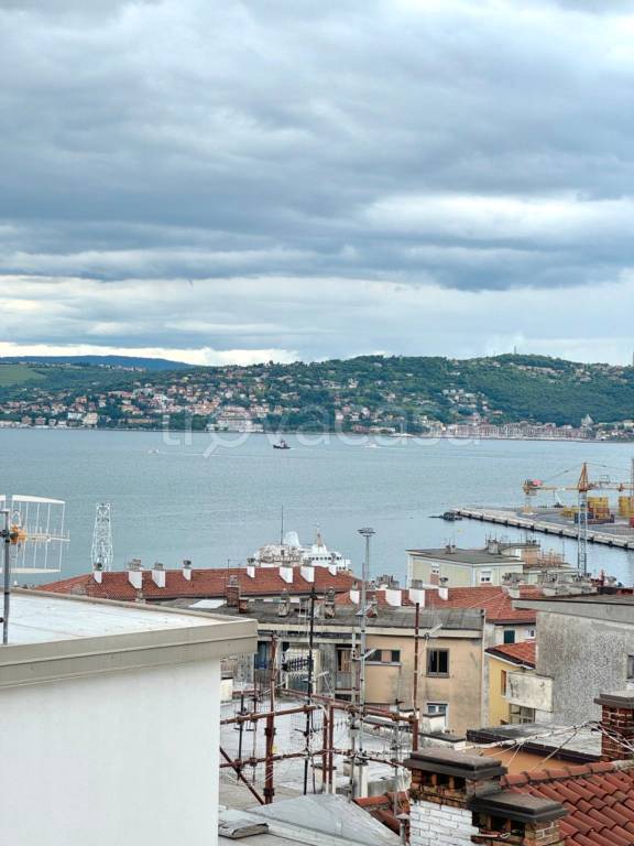 appartamento in affitto a Trieste in zona Campi Elisi