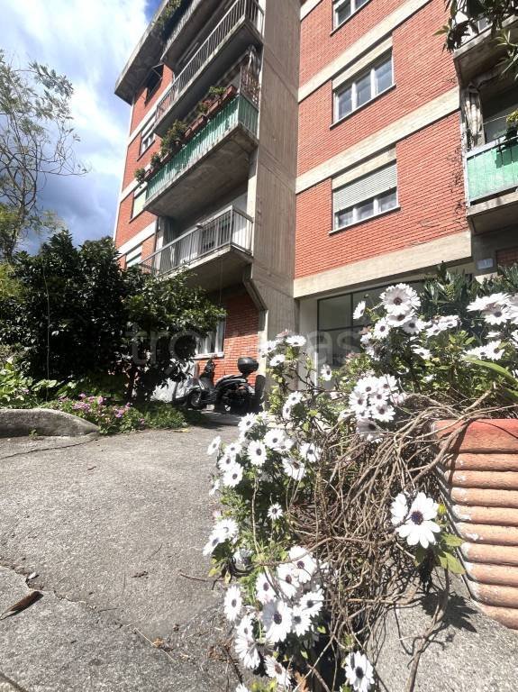 appartamento in affitto a Trieste in zona Sant'Andrea