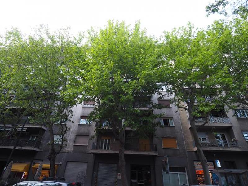 appartamento in affitto a Trieste in zona Barriera vecchia