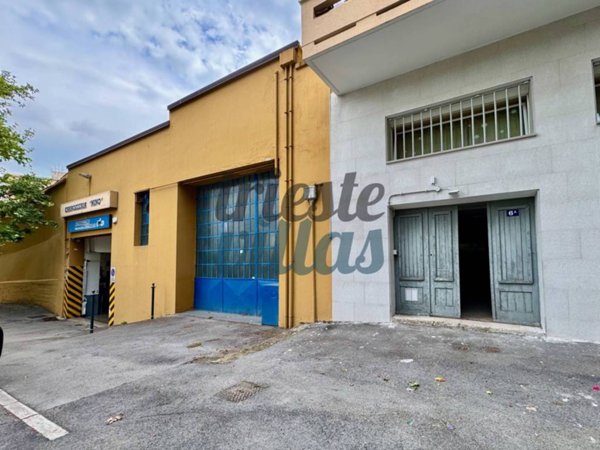 locale di sgombero in affitto a Trieste in zona Campi Elisi