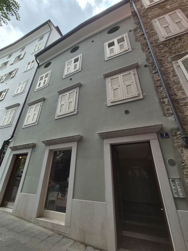 appartamento in affitto a Trieste in zona Cavana