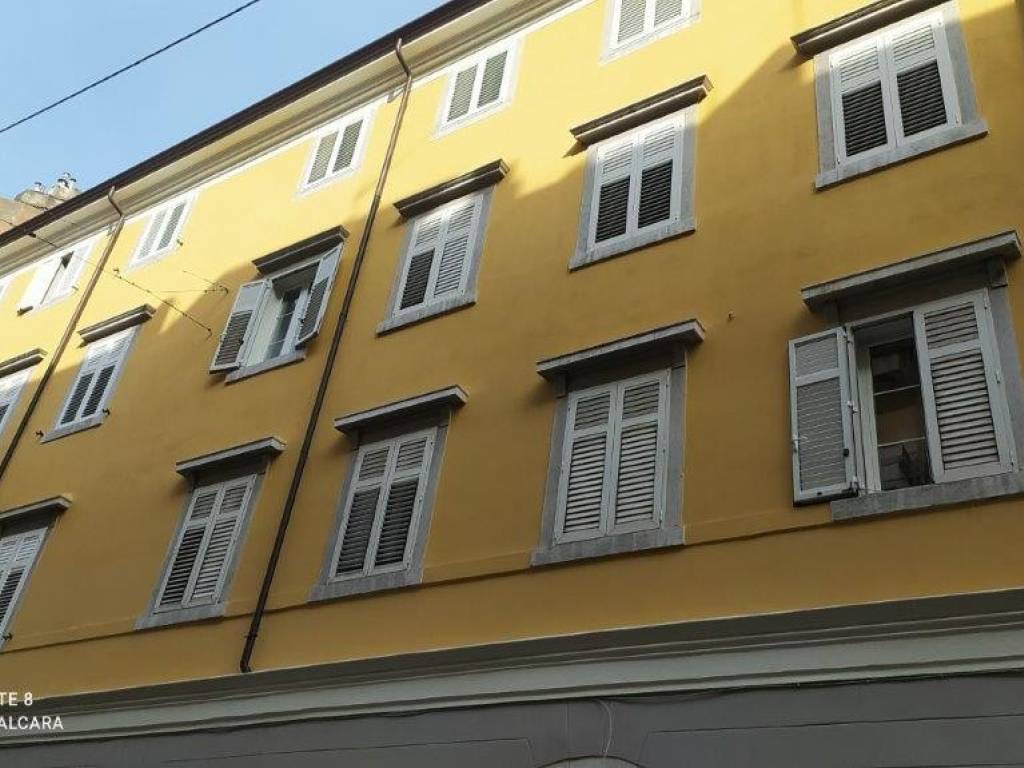appartamento in affitto a Trieste