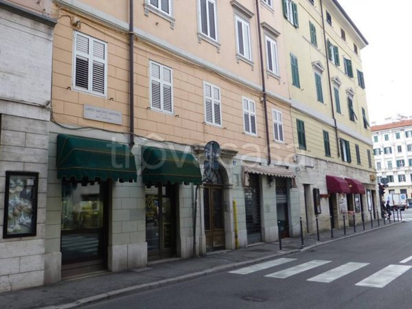 appartamento in affitto a Trieste