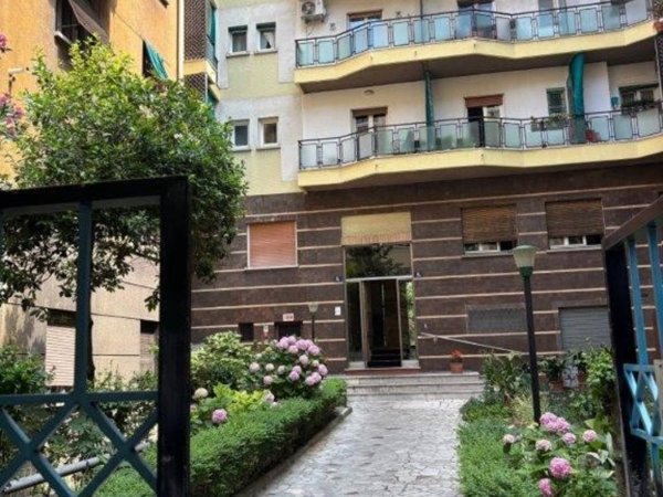 appartamento in affitto a Trieste